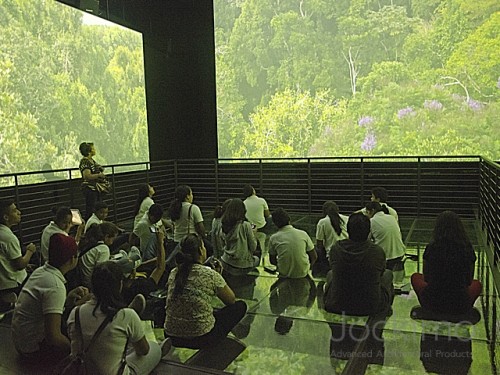 panamamuseum glassfloor green